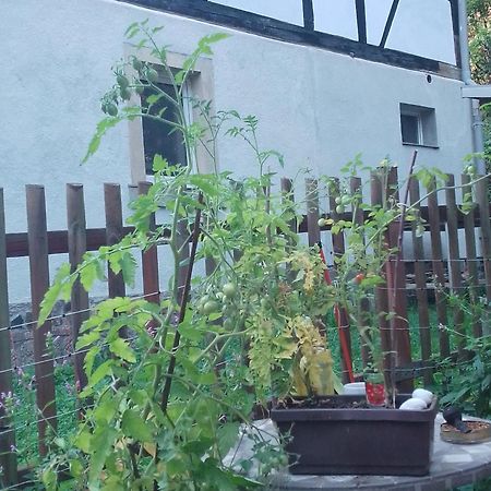 Zum Stillen Himmelbett In Lichtenwalde Niederwiesa Exterior photo