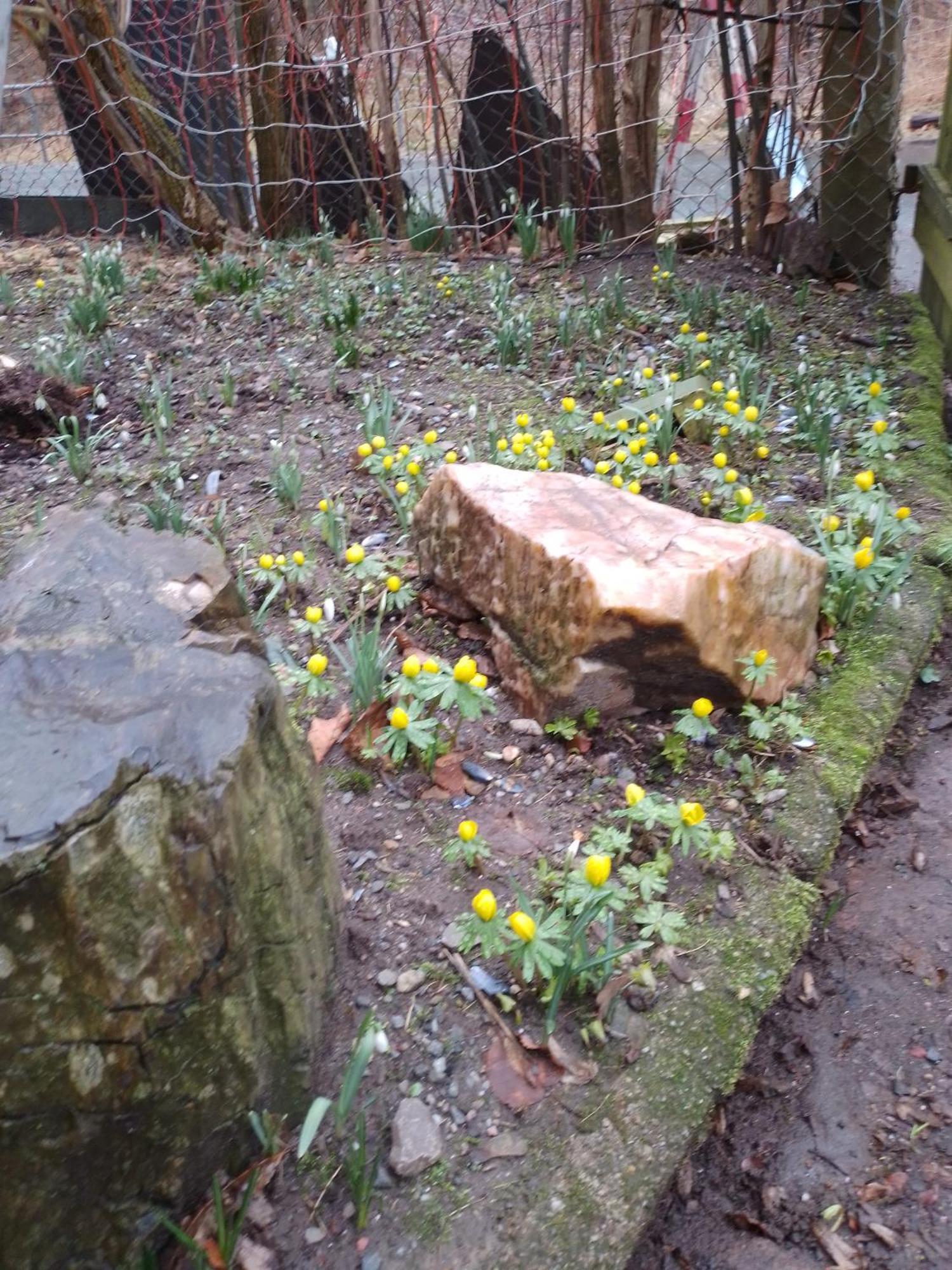 Zum Stillen Himmelbett In Lichtenwalde Niederwiesa Exterior photo